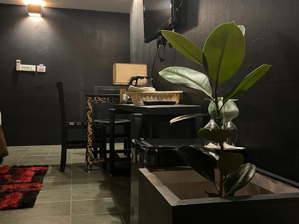 Gusto Accommodation 포카라 외부 사진